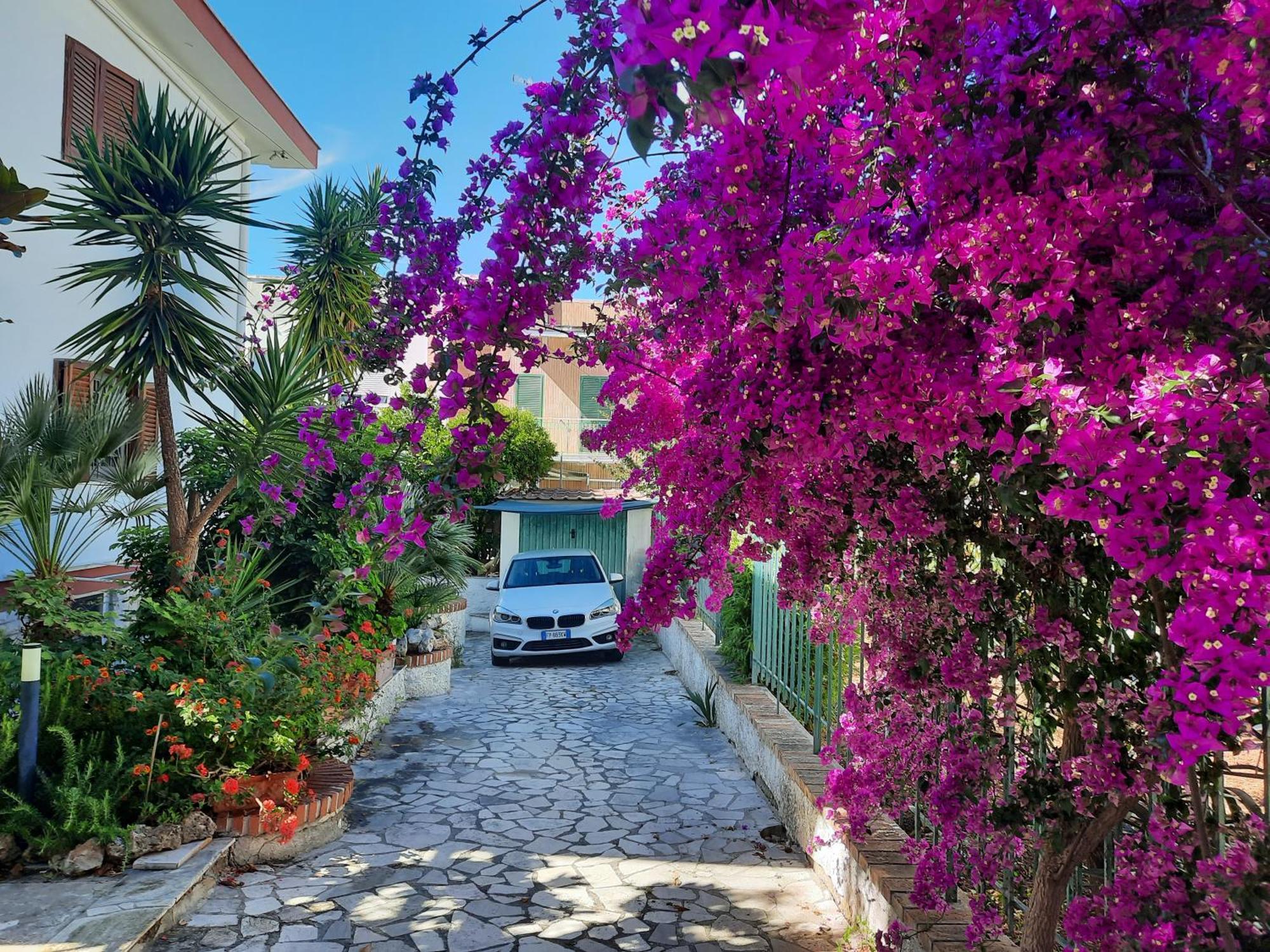 Residenza Nisio Villa Bari Buitenkant foto